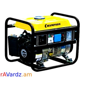 OrAVardz.am_Portable_Gasoline_Generator_900